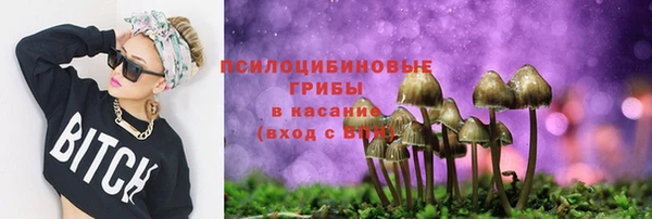 PSILOCYBIN Кинешма