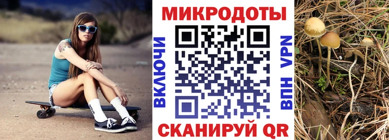 Галлюциногенные грибы MAGIC MUSHROOMS Тимашёвск