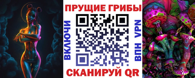 Купить где  Тимашёвск  Галлюциногенные грибы Psilocybe 